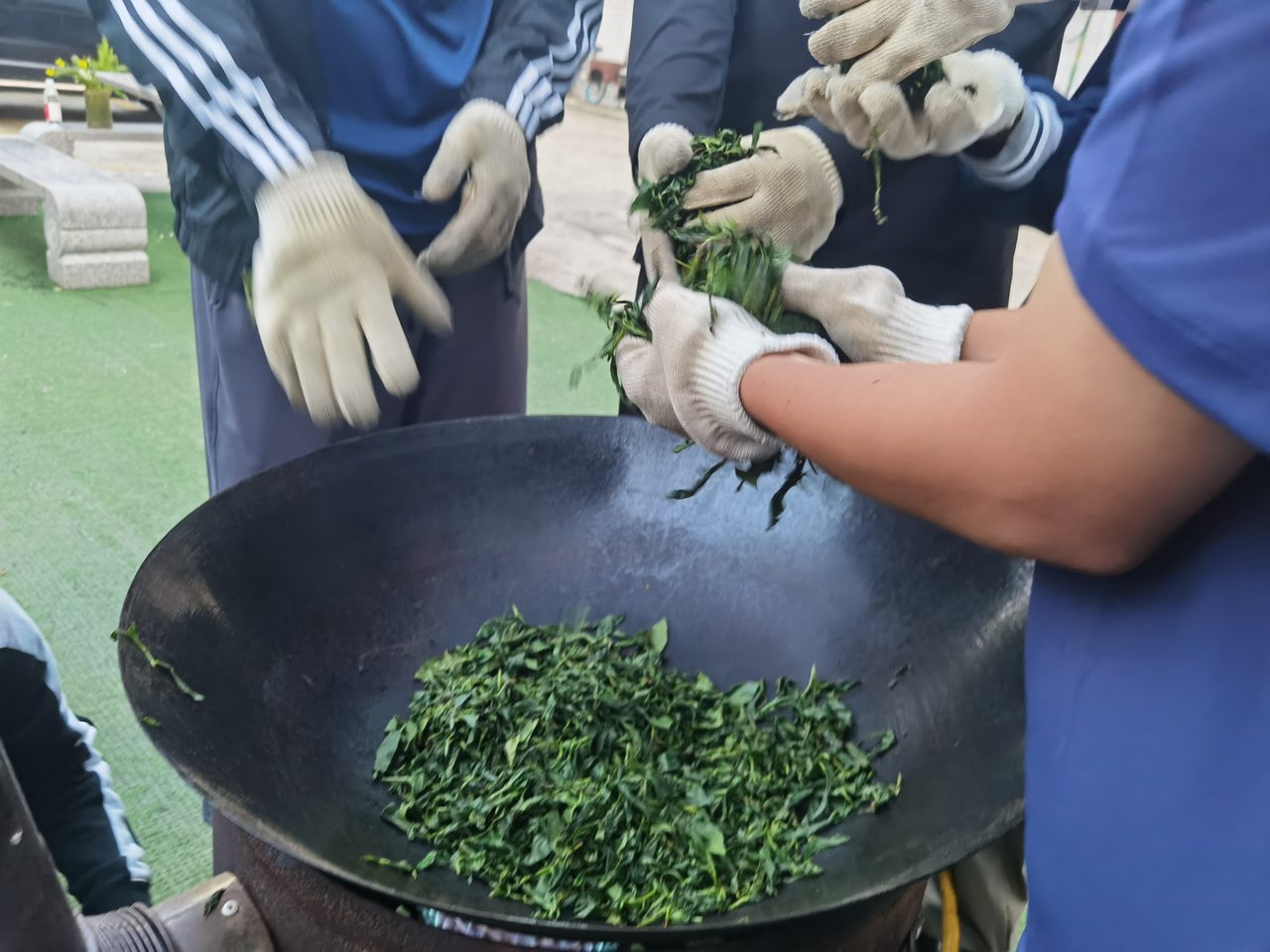 采茶制茶一日营