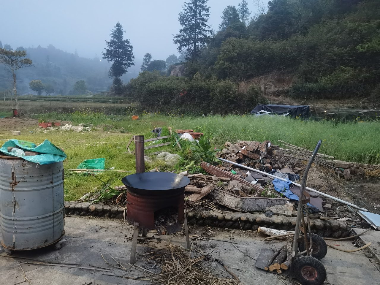 挖地瓜烤地瓜，田园运动会真欢乐